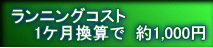 ランニングコスト 　　1ケ月換算で  約1,000円