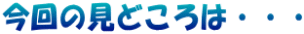 今回の見どころは・・・