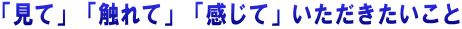 「見て」「触れて」「感じて」いただきたいこと