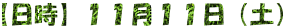 【日時】１１月１１日（土）