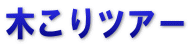 木こりツアー
