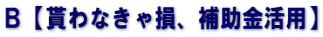 Ｂ【貰わなきゃ損、補助金活用】