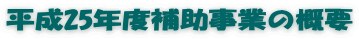 平成25年度補助事業の概要