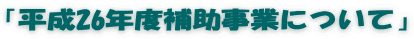 「平成26年度補助事業について」