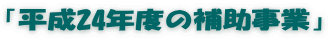 「平成24年度の補助事業」