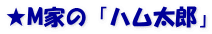 ★M家の「ハム太郎」