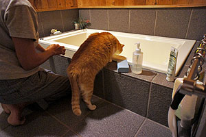 「お風呂掃除！手伝いましょうか？」