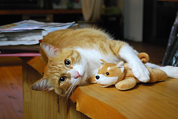 「大好きなわんこと♪」