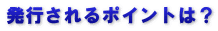 発行されるポイントは？