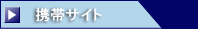 携帯サイト