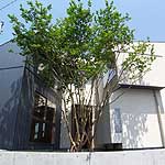 「建築家の自邸」