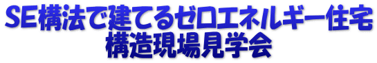 ＳＥ構法で建てるゼロエネルギー住宅 構造現場見学会