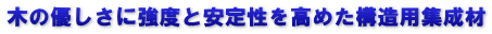 木の優しさに強度と安定性を高めた構造用集成材
