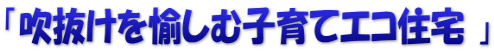 「吹抜けを愉しむ子育てエコ住宅 」