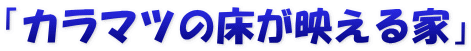 「カラマツの床が映える家」
