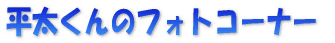 平太くんのフォトコーナー 