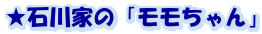 ★石川家の「モモちゃん」