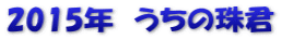 2015年　うちの珠君