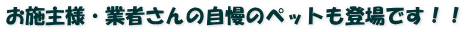 お施主様・業者さんの自慢のペットも登場です！！
