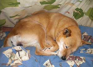 「なな・・・いっぱいいっぱいありがとう。」