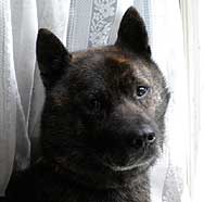 click！真っ黒でわかりずらいので、ちょっと拡大して見てください。