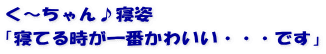 く～ちゃん♪寝姿 「寝てる時が一番かわいい・・・です」