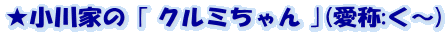 ★小川家の ｢ クルミちゃん ｣(愛称:く～)