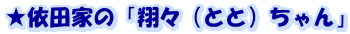★依田家の「翔々（とと）ちゃん」